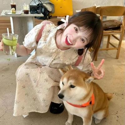 狼嚎再起